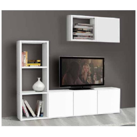 Libreria e porta tv in legno bianco frassinato con 2 ante