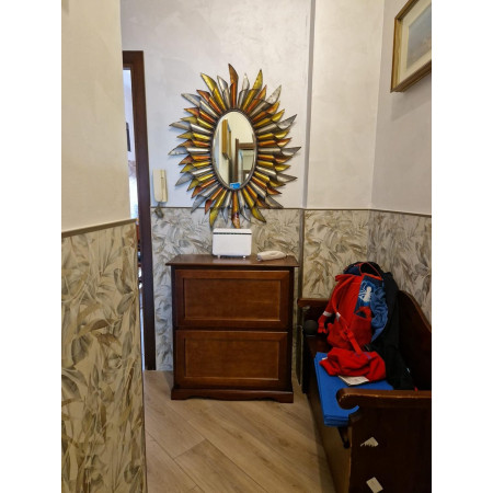 Scarpiera 2 ante a ribalte legno massello noce lucido